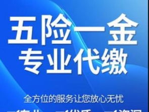 社保代繳補繳、公積金咨詢、個稅代辦與檔案辦理全方位指南